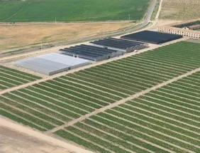 proceso de aclimatacion para mejores resultados