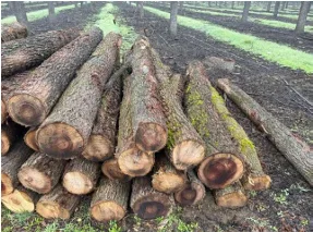 producto como ultima fase del proceso productivo