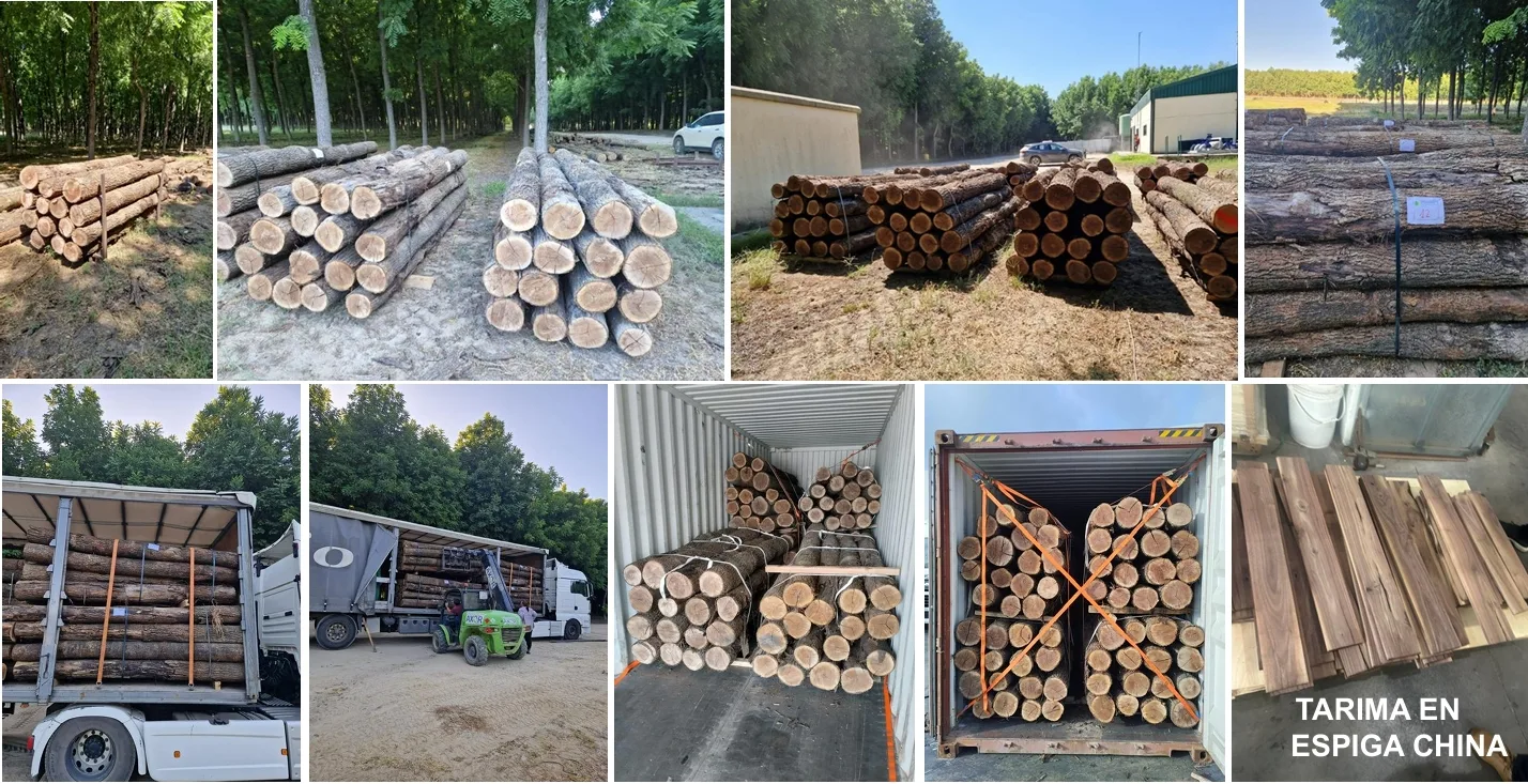 Productos elaborados con la madera de nogal y cerezo