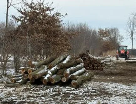 plantaciones de Indiana (USA)-5